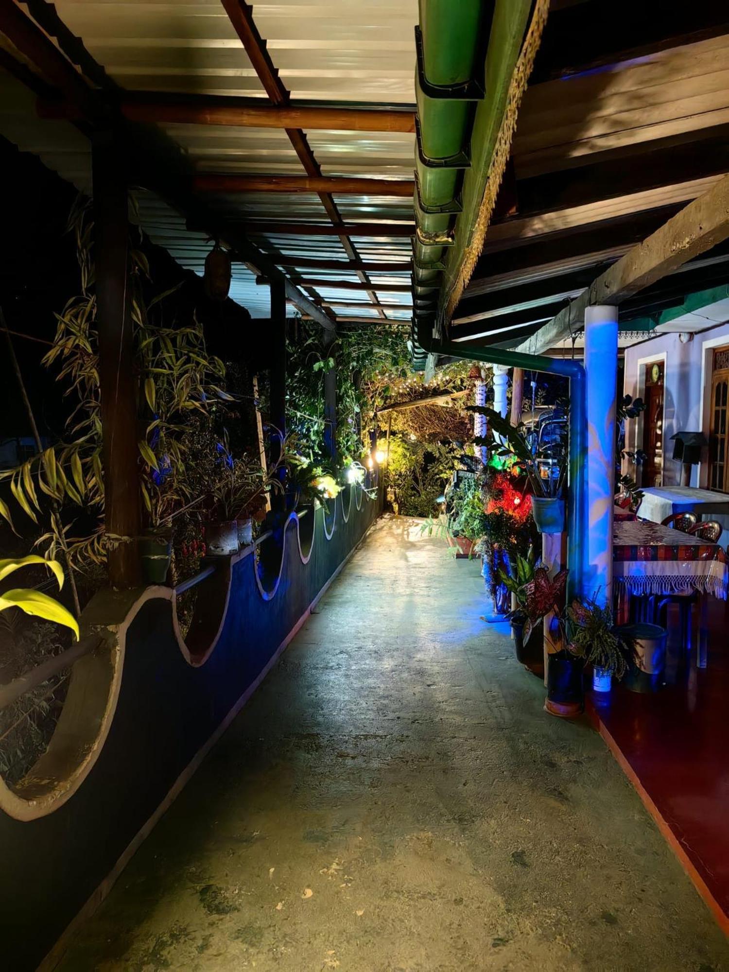 Cozy Homestay Waterfall Road 埃拉 外观 照片