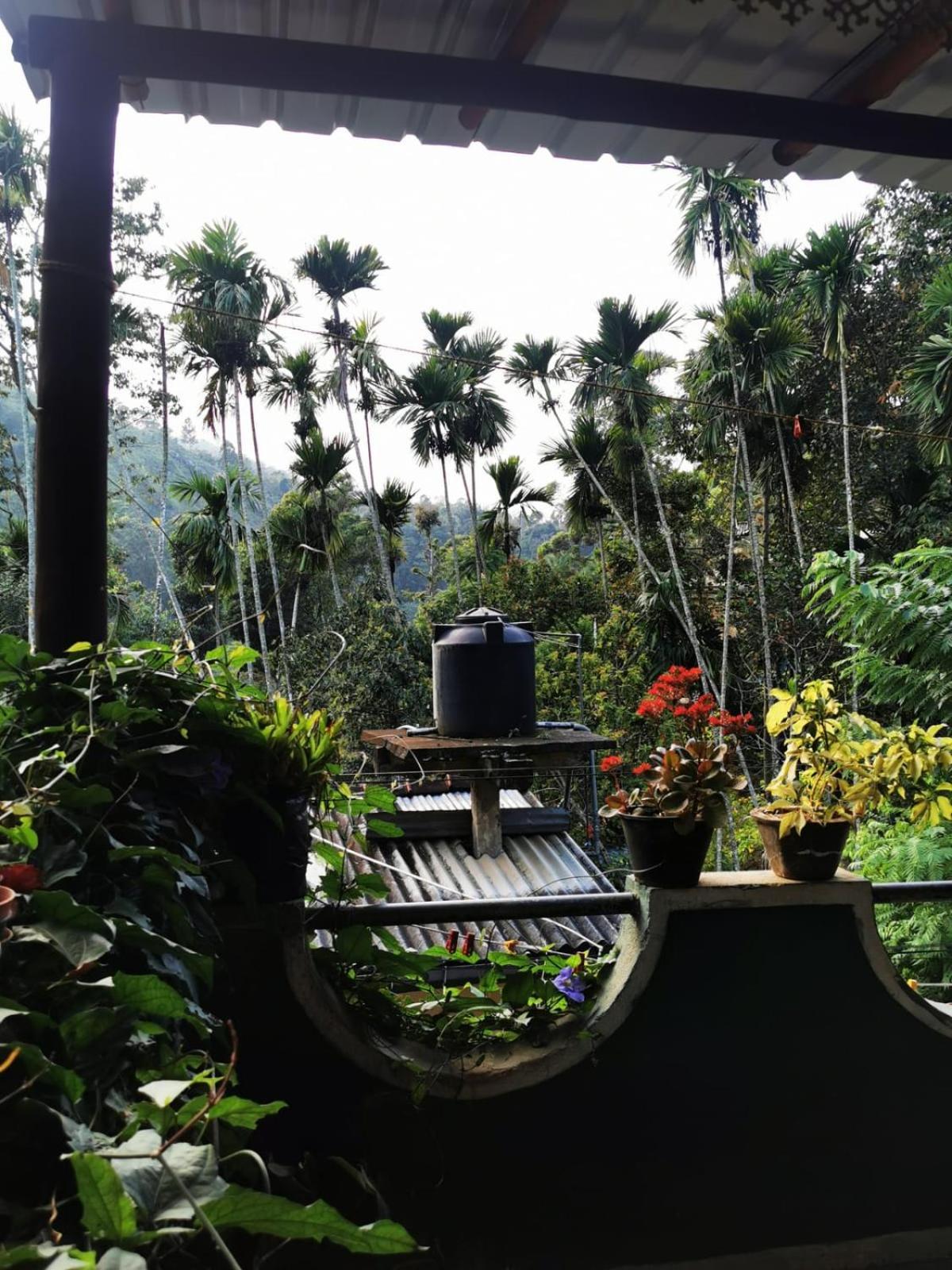 Cozy Homestay Waterfall Road 埃拉 外观 照片
