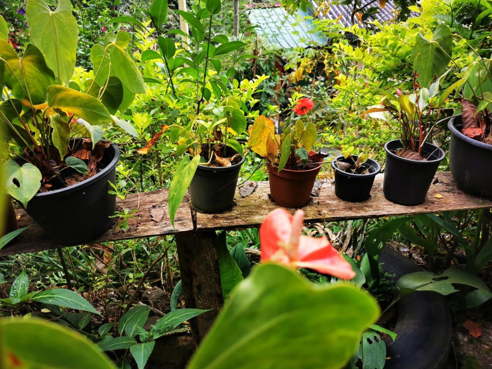 Cozy Homestay Waterfall Road 埃拉 外观 照片