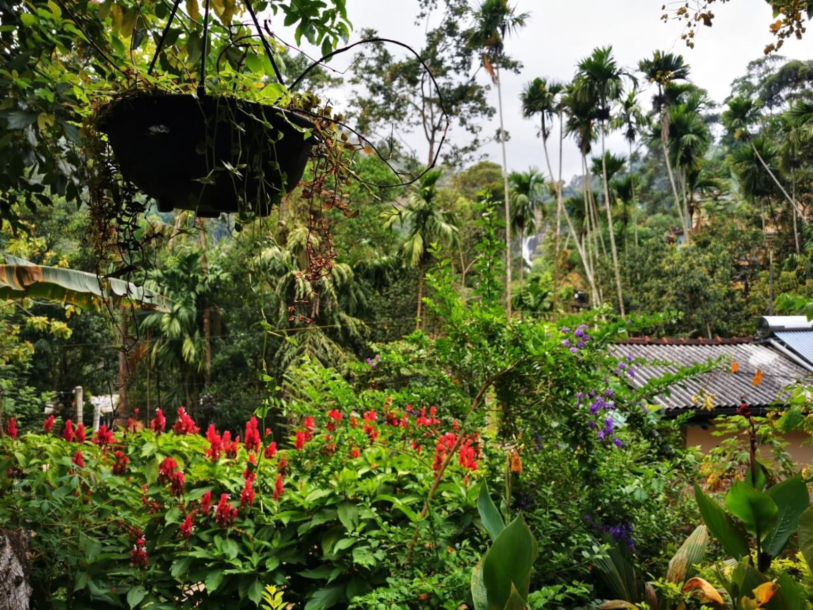 Cozy Homestay Waterfall Road 埃拉 外观 照片
