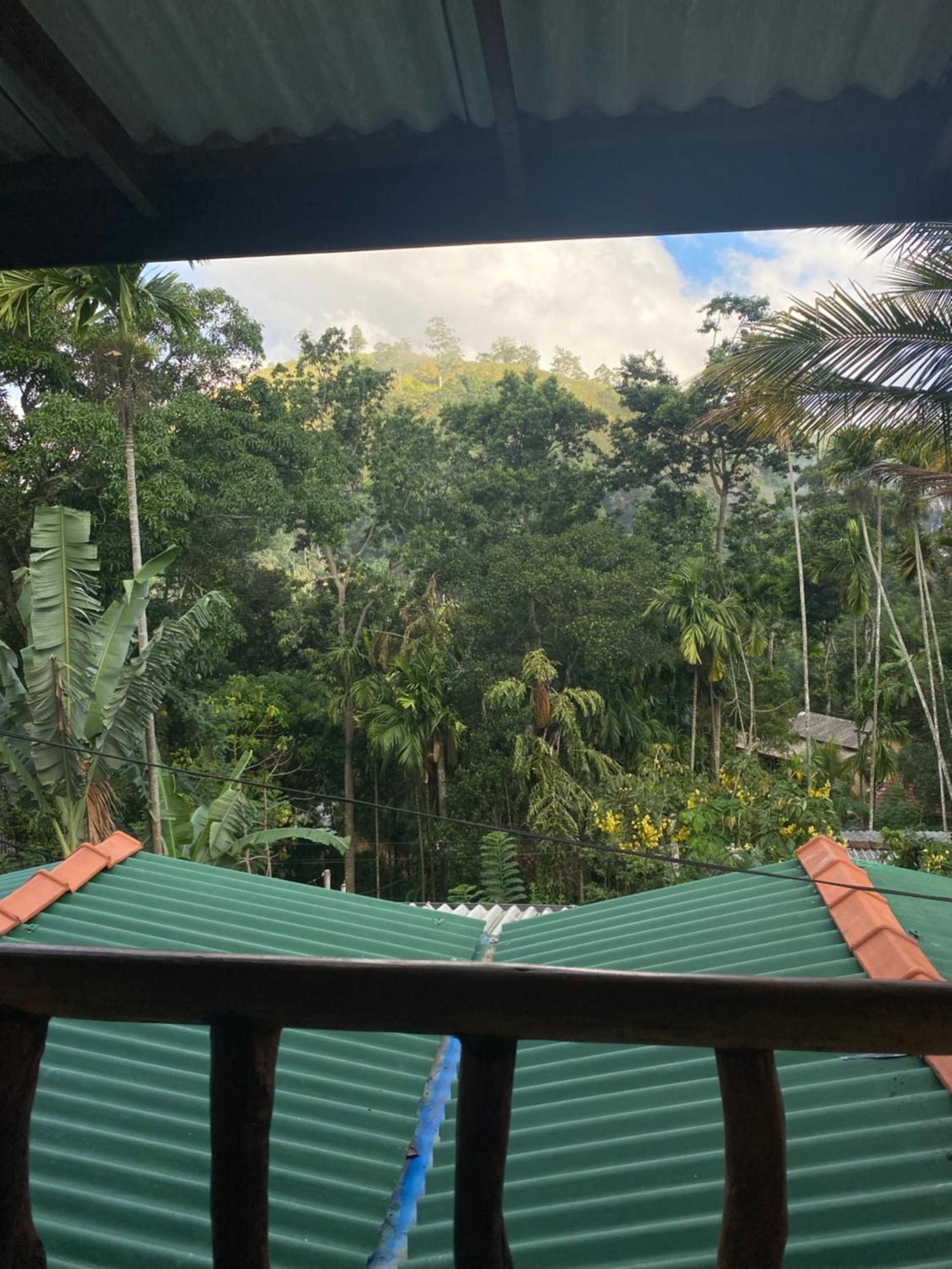 Cozy Homestay Waterfall Road 埃拉 外观 照片