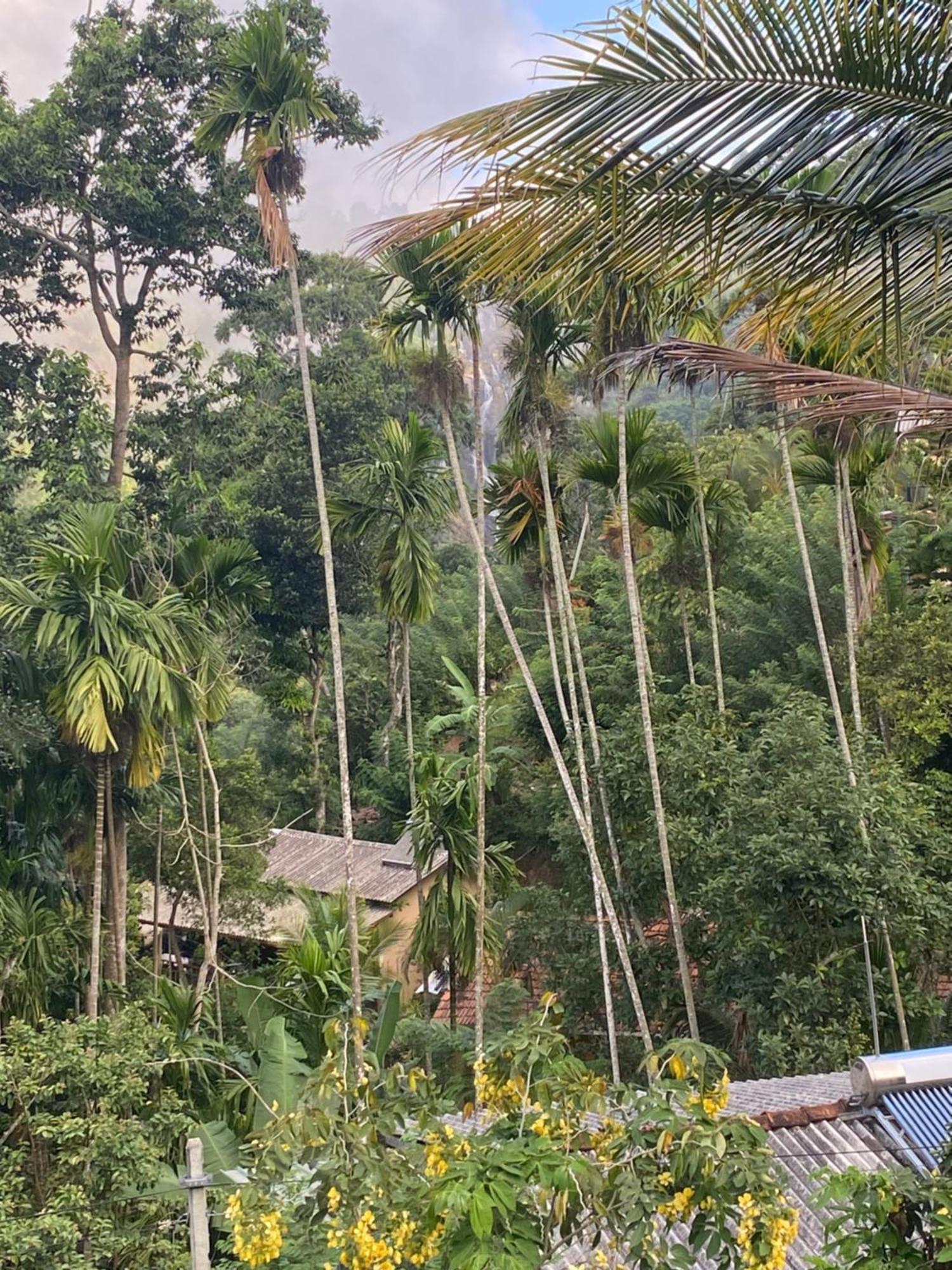 Cozy Homestay Waterfall Road 埃拉 外观 照片