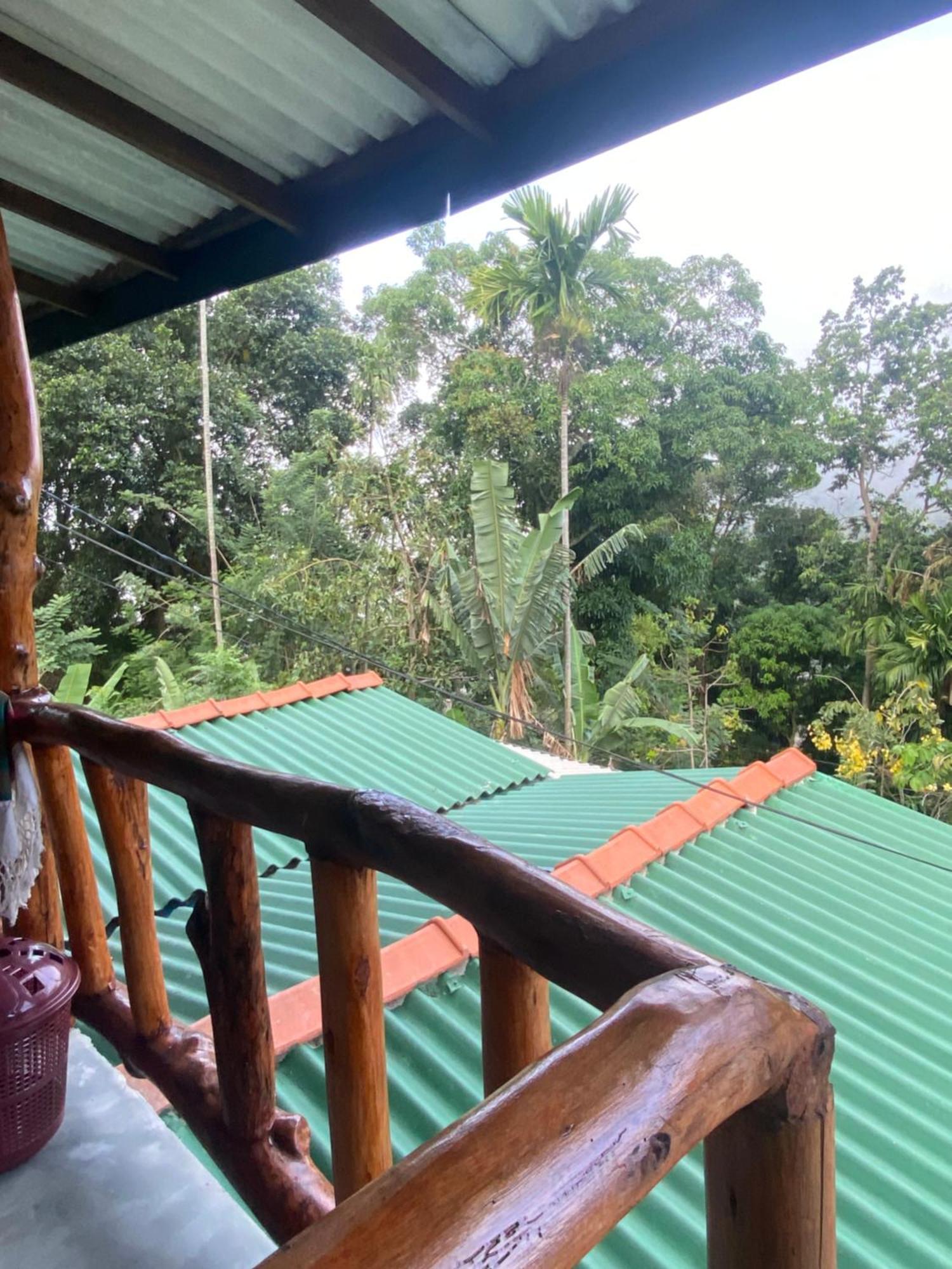Cozy Homestay Waterfall Road 埃拉 外观 照片