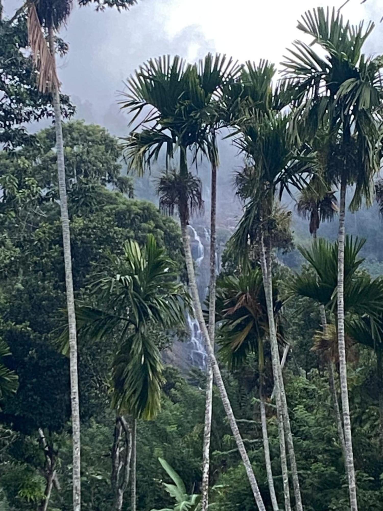 Cozy Homestay Waterfall Road 埃拉 外观 照片