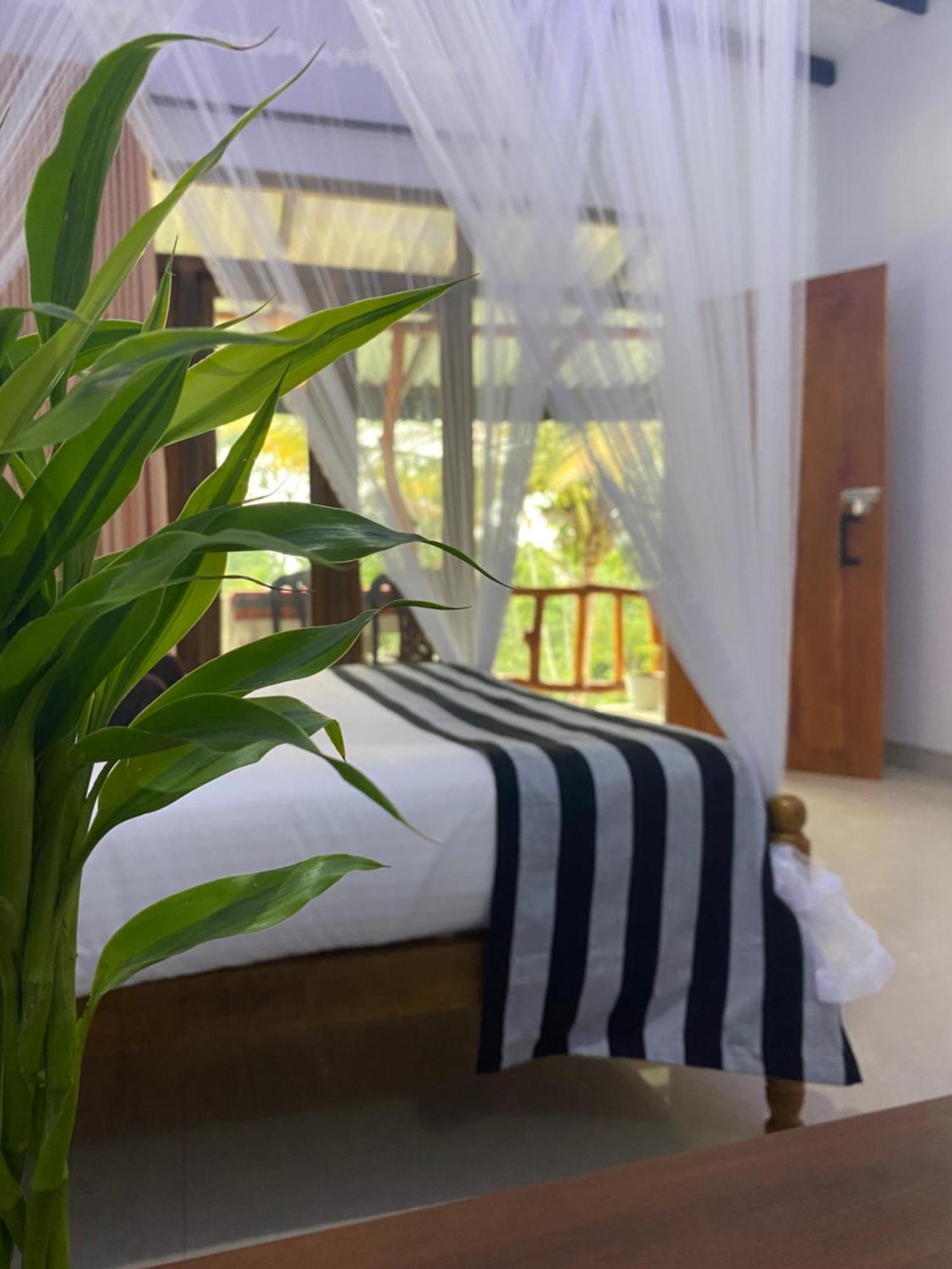 Cozy Homestay Waterfall Road 埃拉 外观 照片