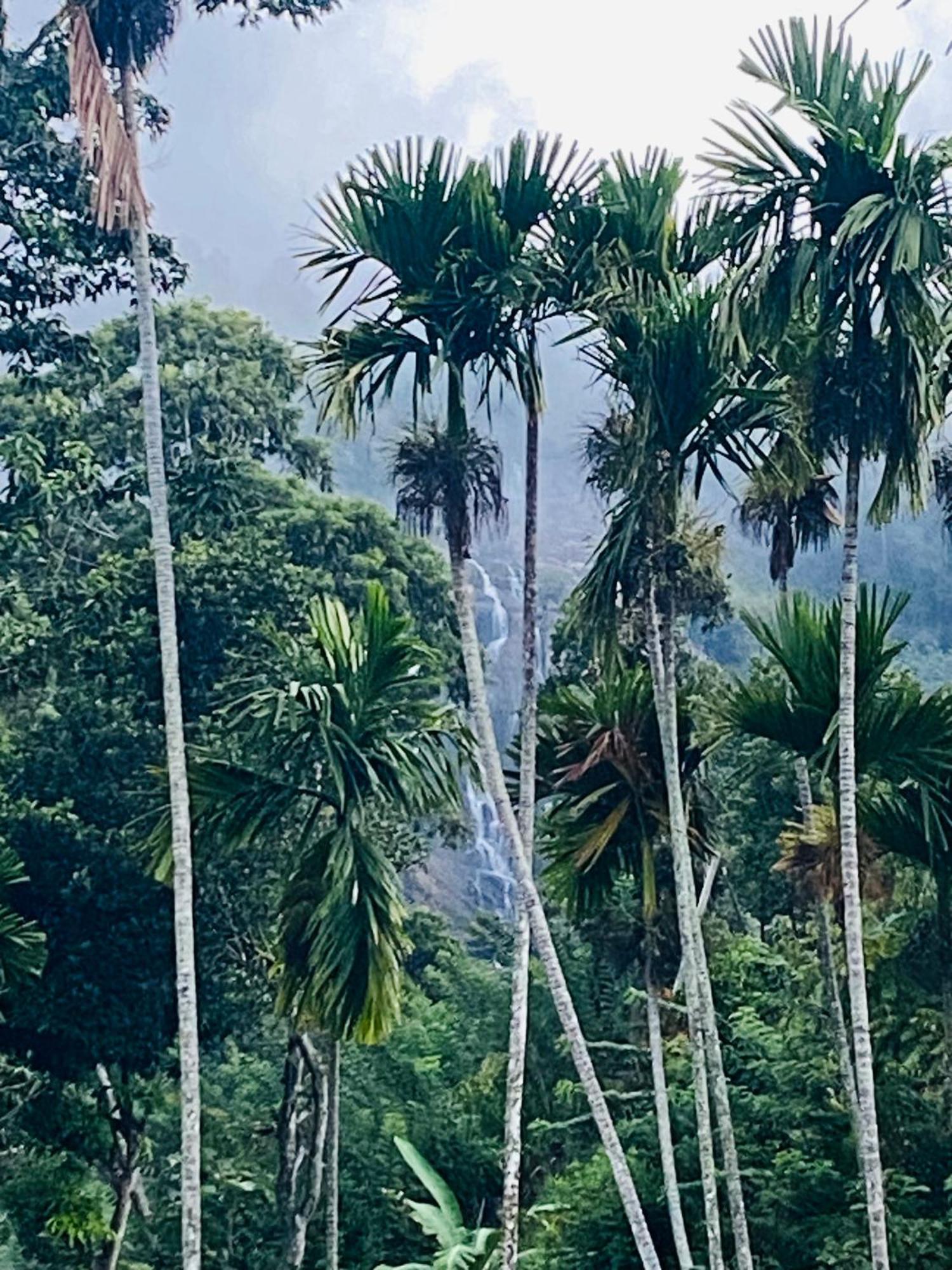 Cozy Homestay Waterfall Road 埃拉 外观 照片