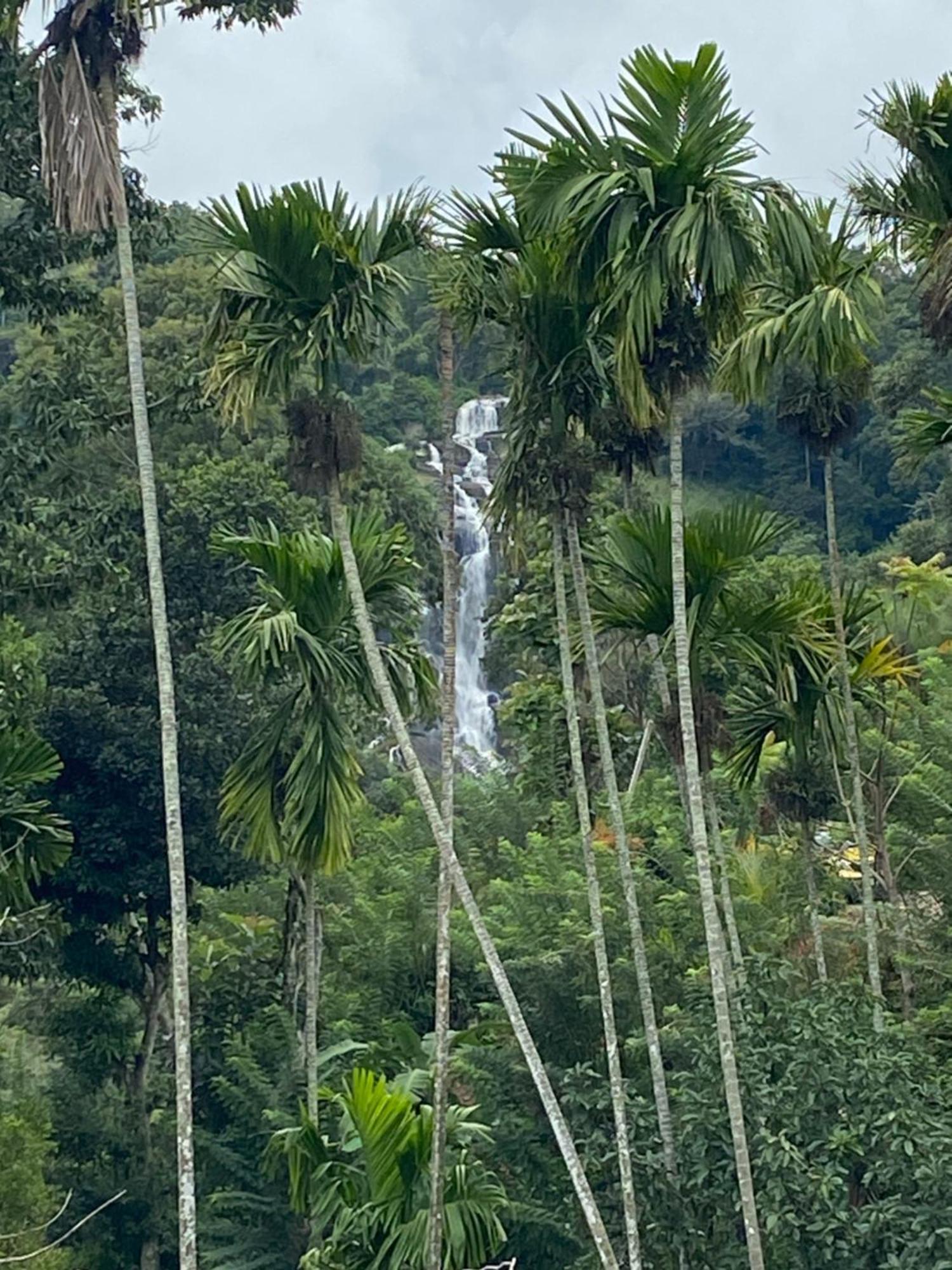 Cozy Homestay Waterfall Road 埃拉 外观 照片