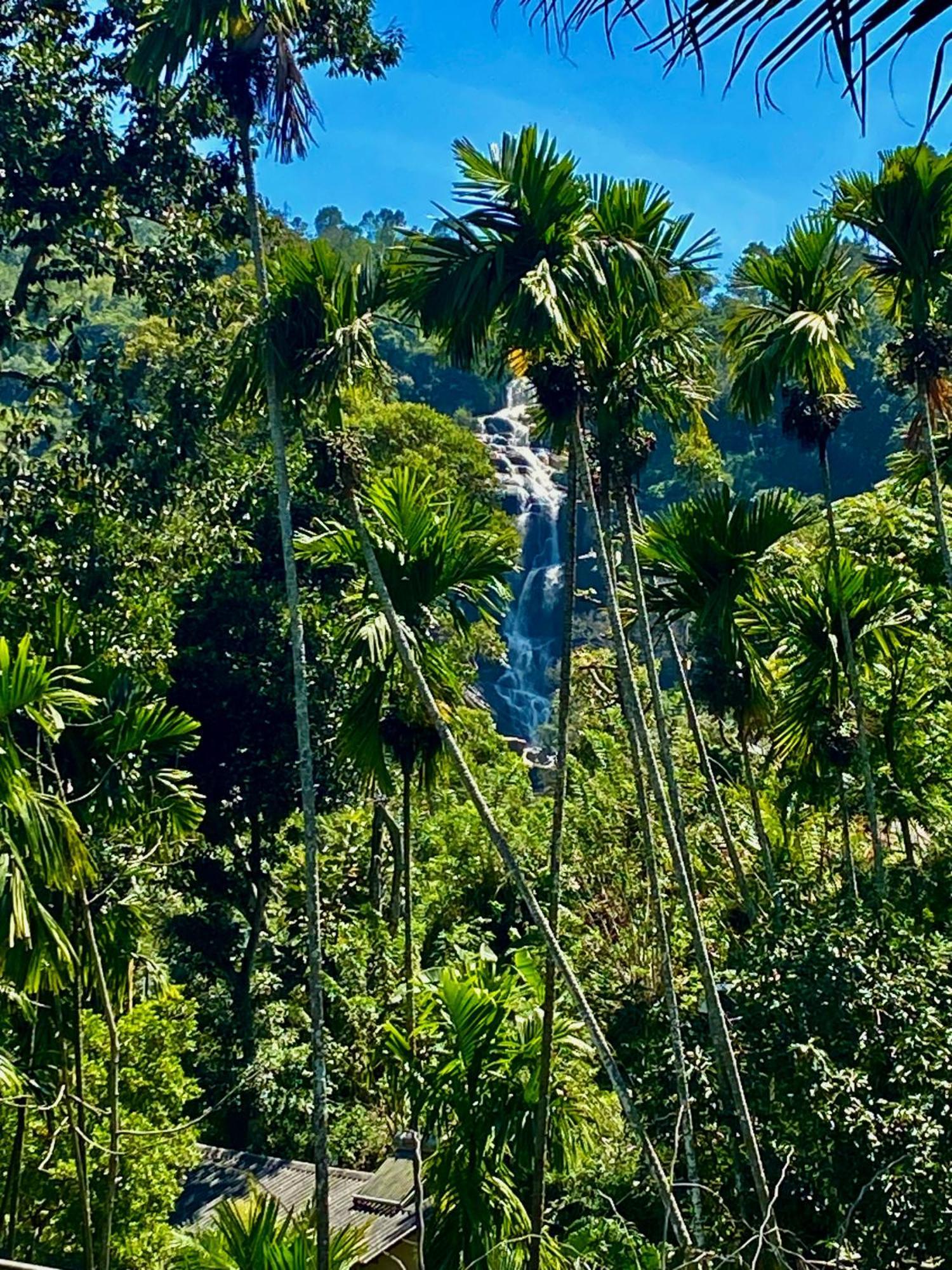 Cozy Homestay Waterfall Road 埃拉 外观 照片