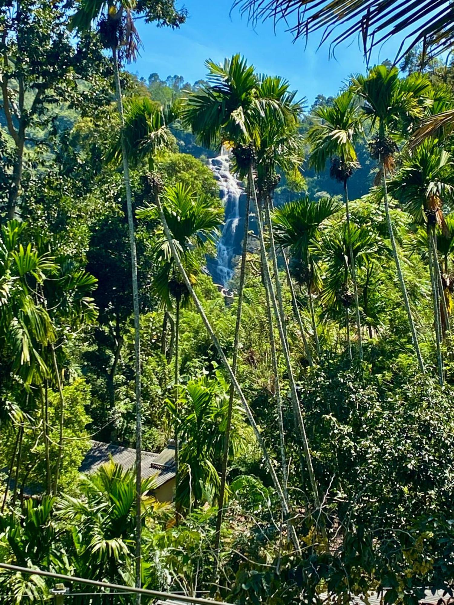 Cozy Homestay Waterfall Road 埃拉 外观 照片