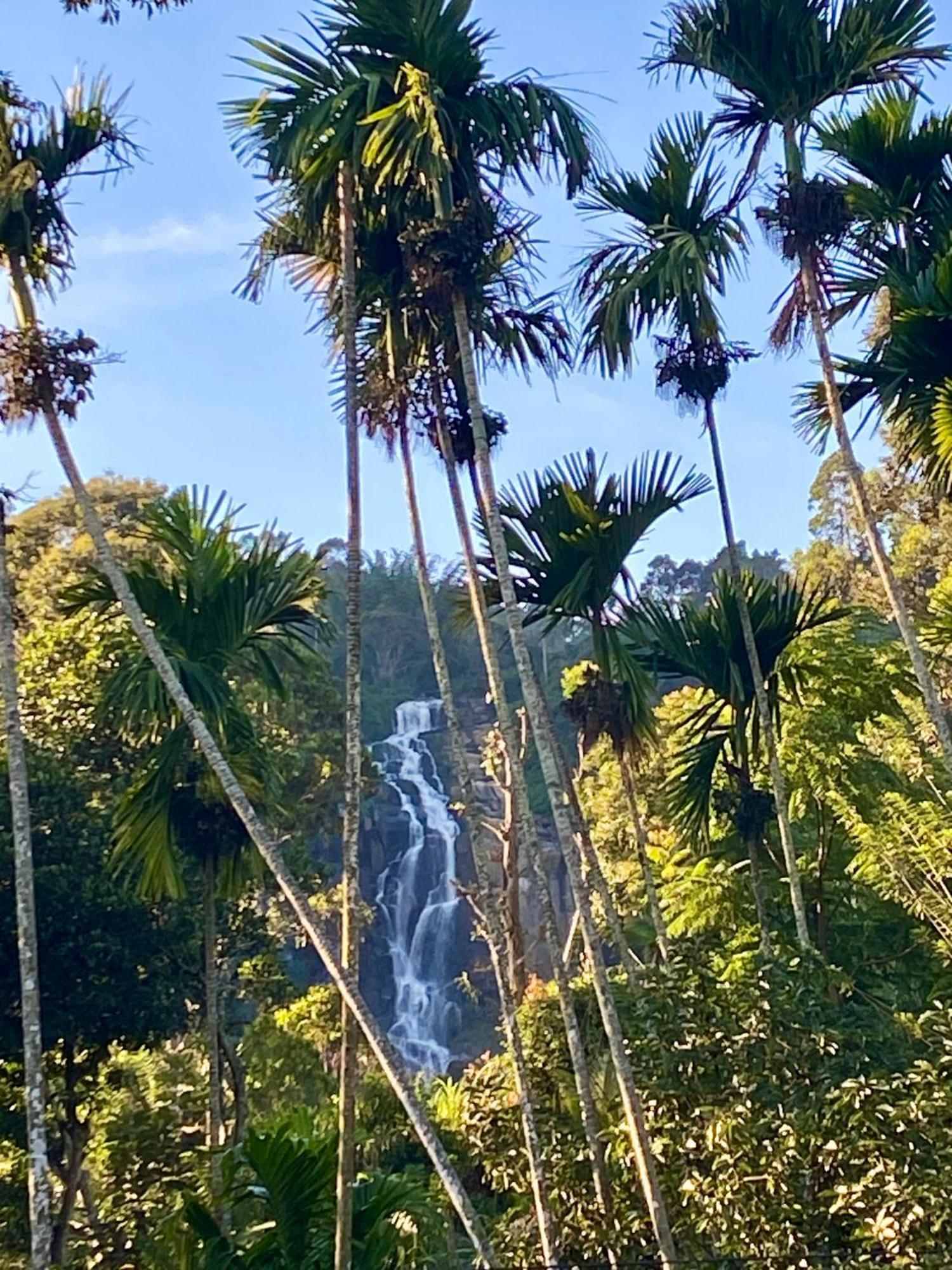 Cozy Homestay Waterfall Road 埃拉 外观 照片