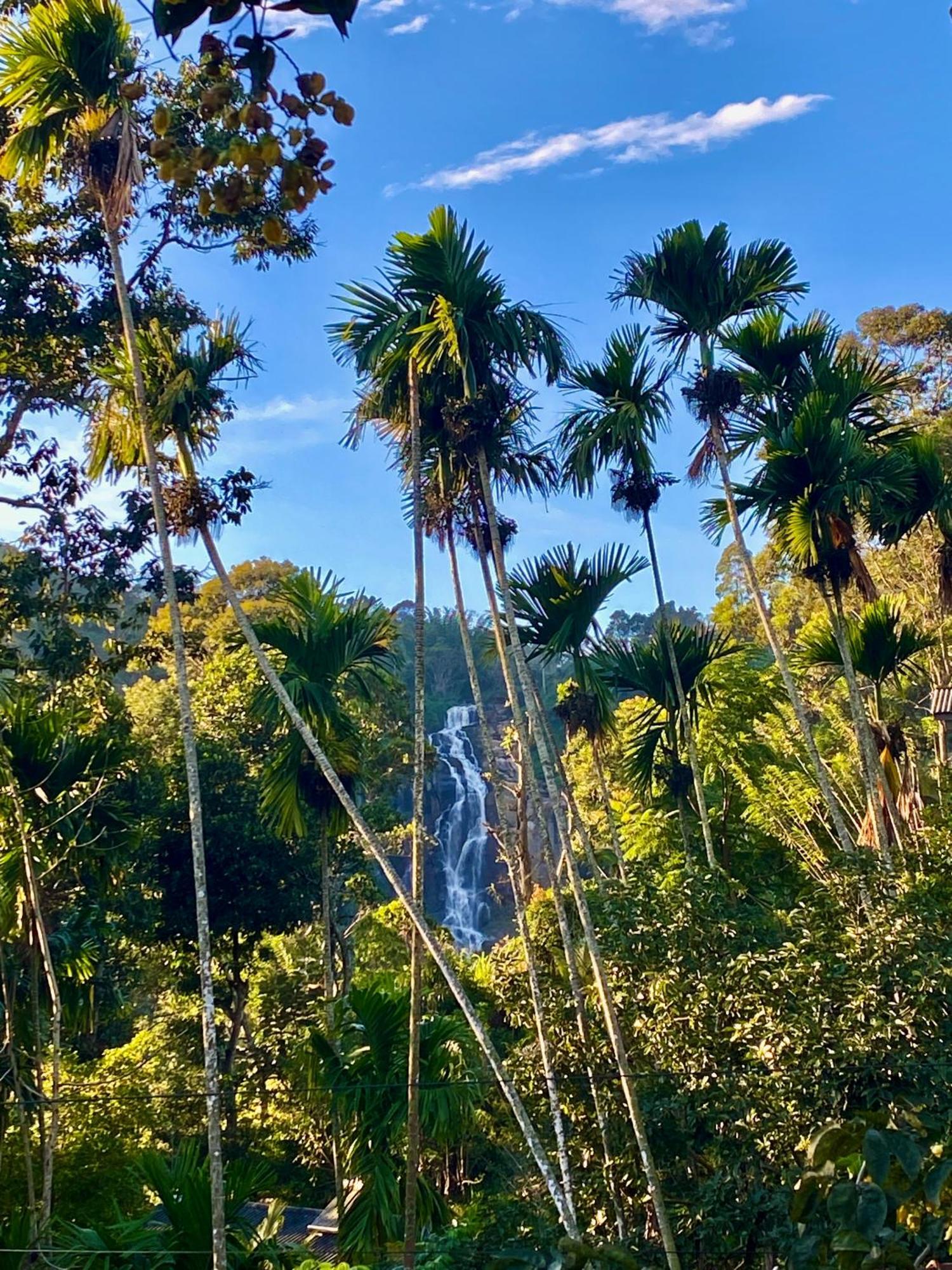 Cozy Homestay Waterfall Road 埃拉 外观 照片
