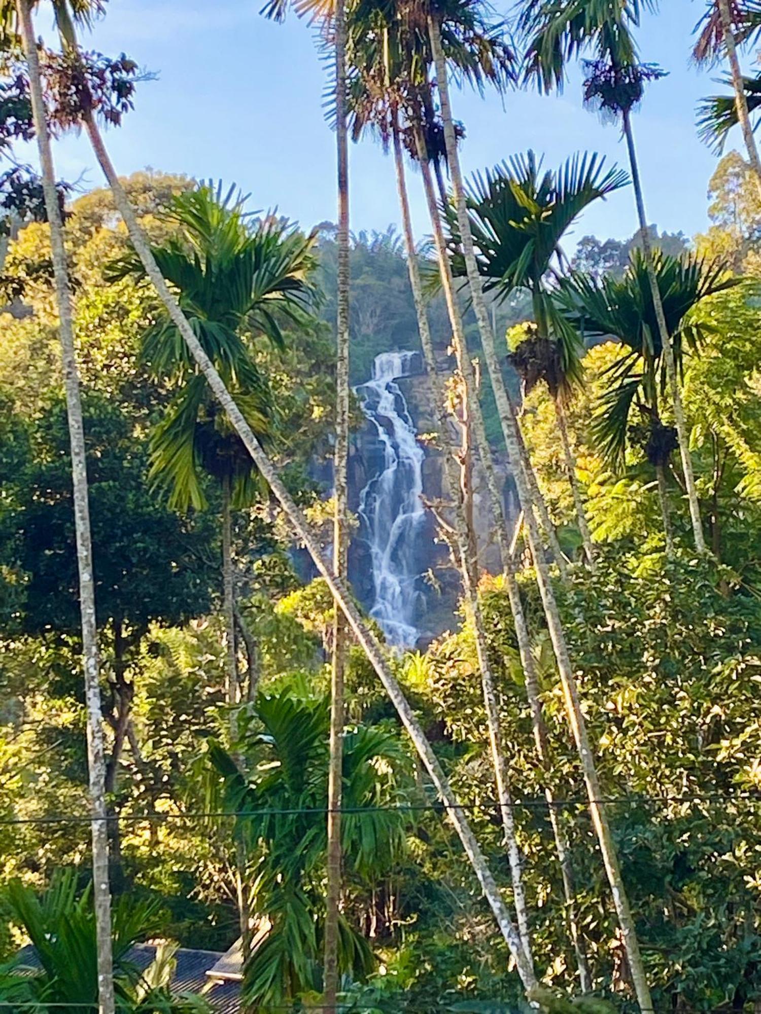 Cozy Homestay Waterfall Road 埃拉 外观 照片