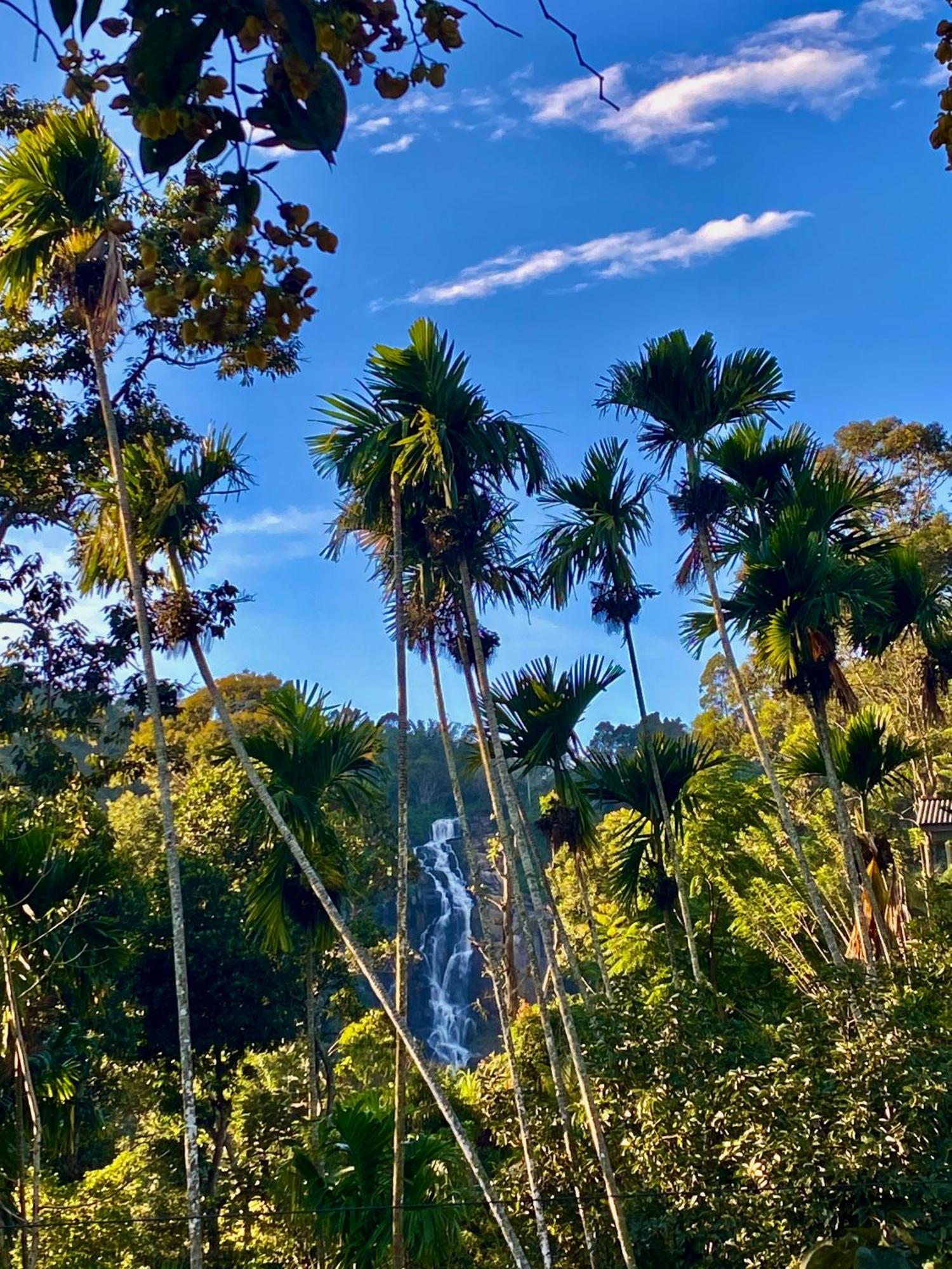 Cozy Homestay Waterfall Road 埃拉 外观 照片
