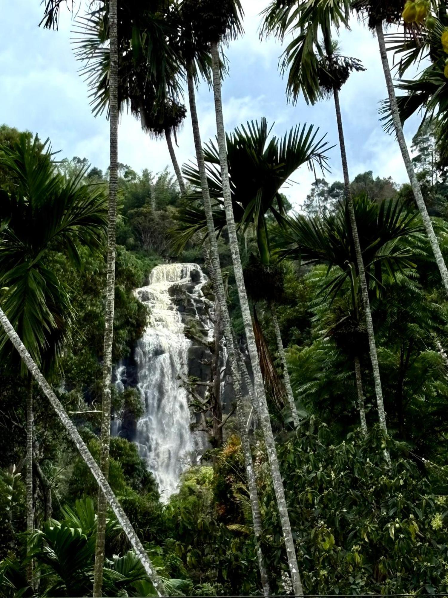 Cozy Homestay Waterfall Road 埃拉 外观 照片